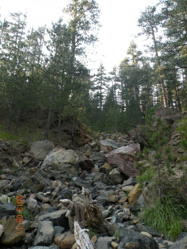 DSCN8231.JPG