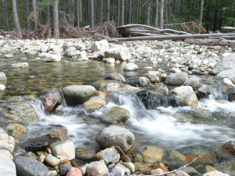DSCN8224.JPG