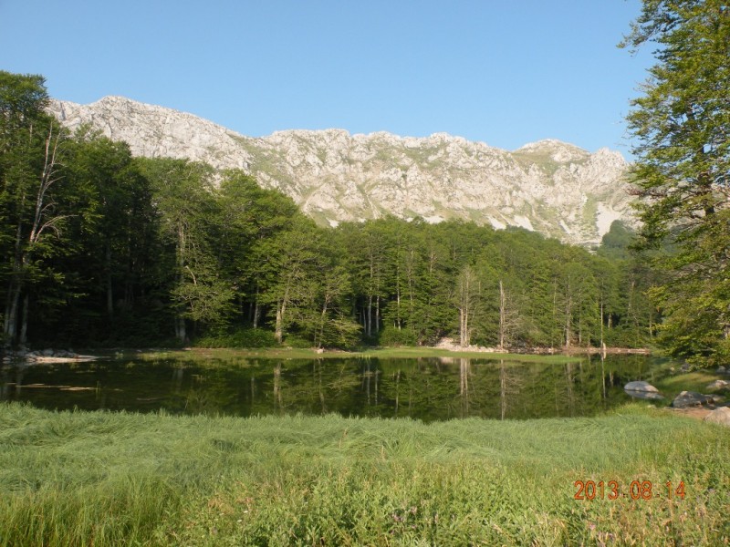 DSCN8286.JPG