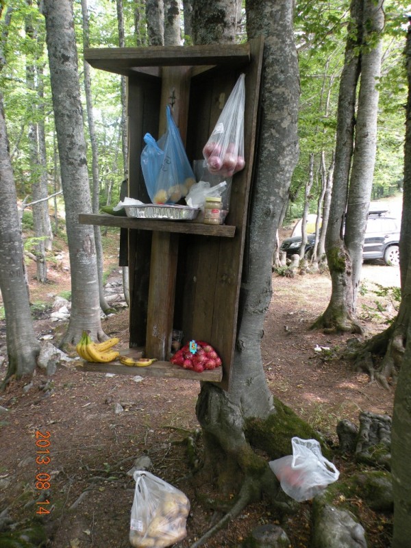 DSCN8300.JPG