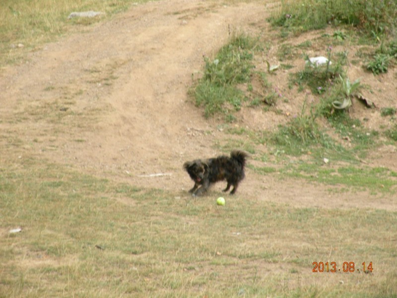 DSCN8305.JPG