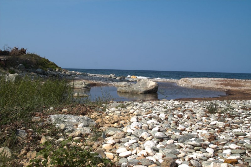 PICT0002-(2)-01.jpg