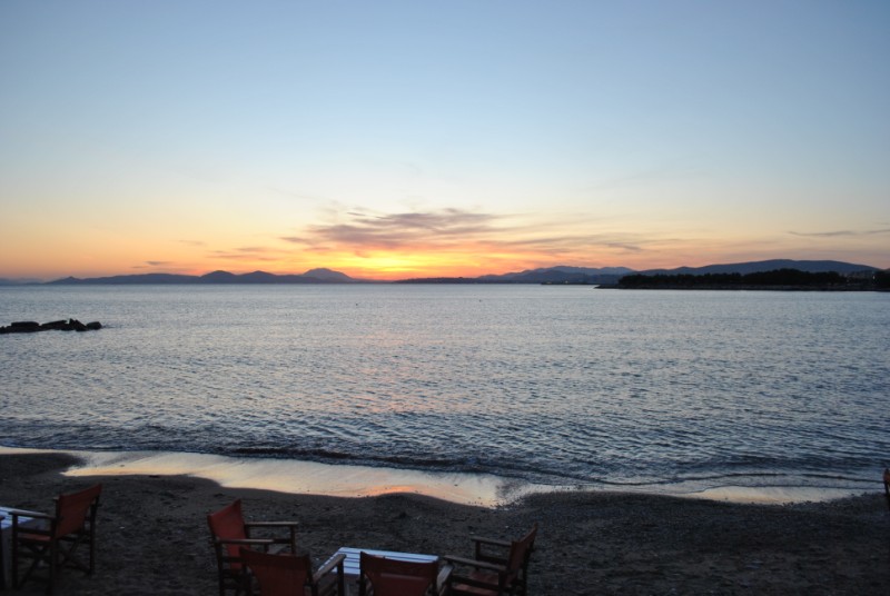 DSC_1204.jpg