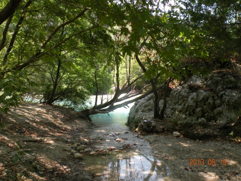 DSCN8321.JPG