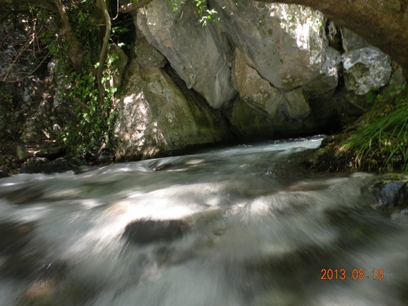 DSCN8325.JPG