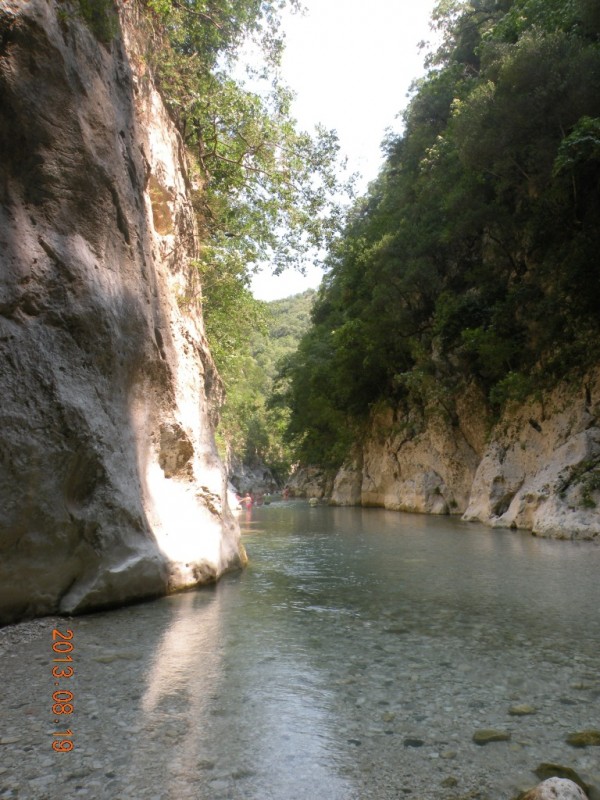 DSCN8347.JPG
