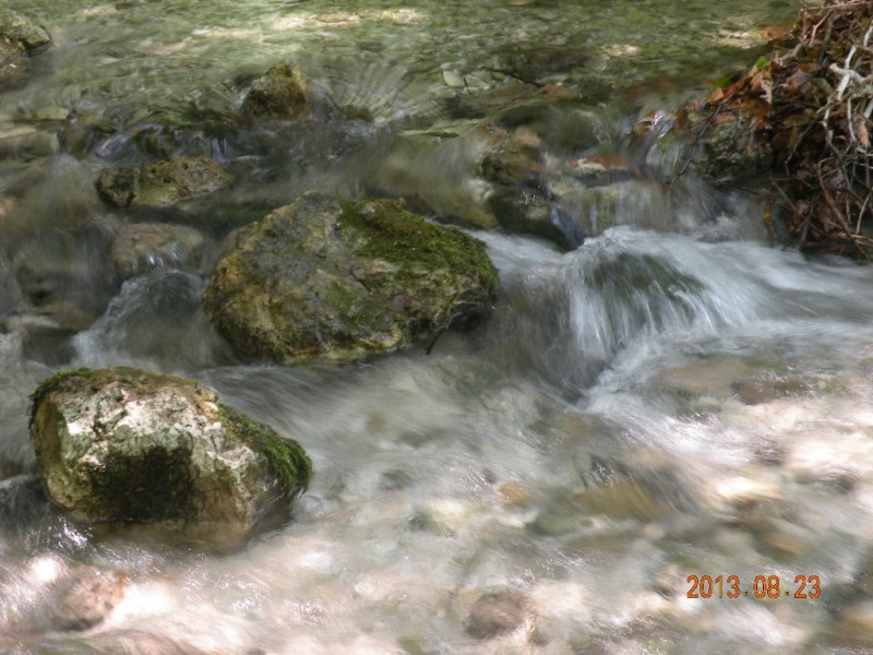 DSCN8581.JPG