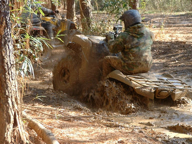 MudCreekDec07009.jpg