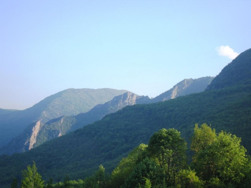 IMG_8404.jpg