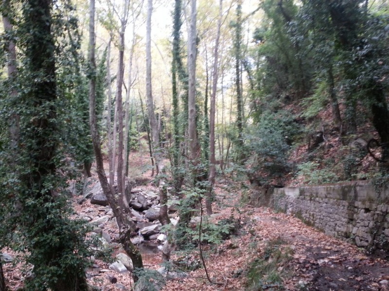 20131004_143504 (Αντιγραφή).jpg