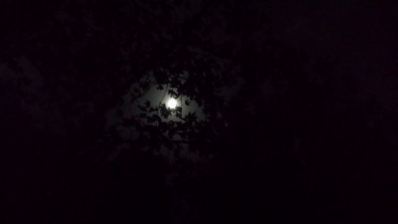 20131017_004625_LLS.jpg