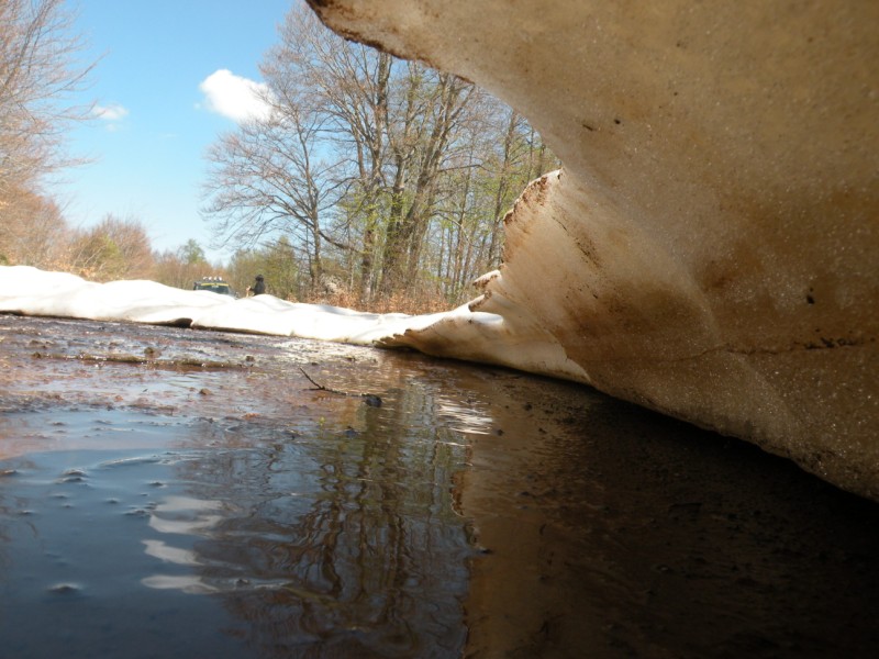 DSCN2838.jpg