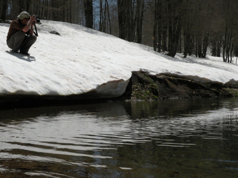 DSCN2917.jpg