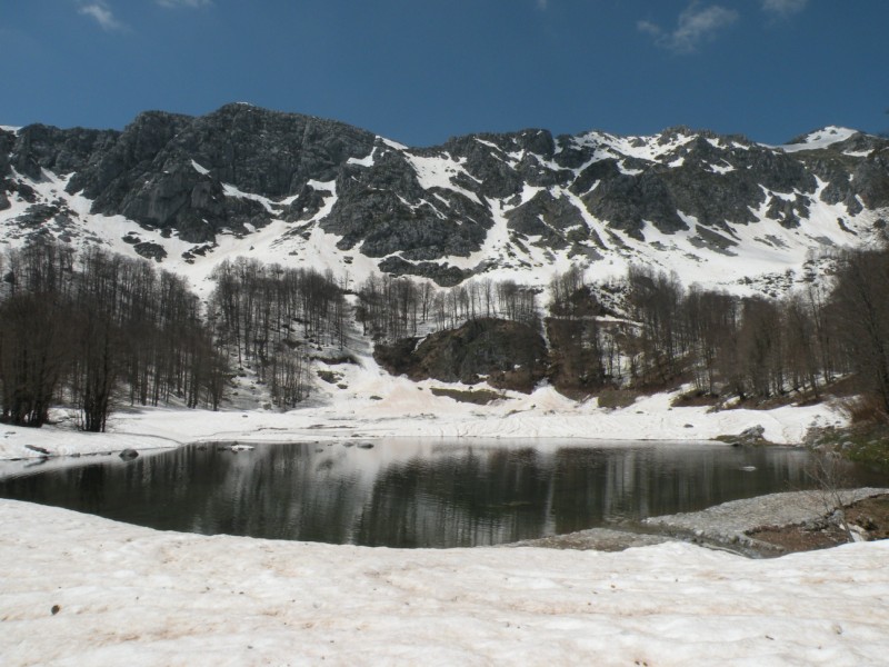 DSCN2909.jpg