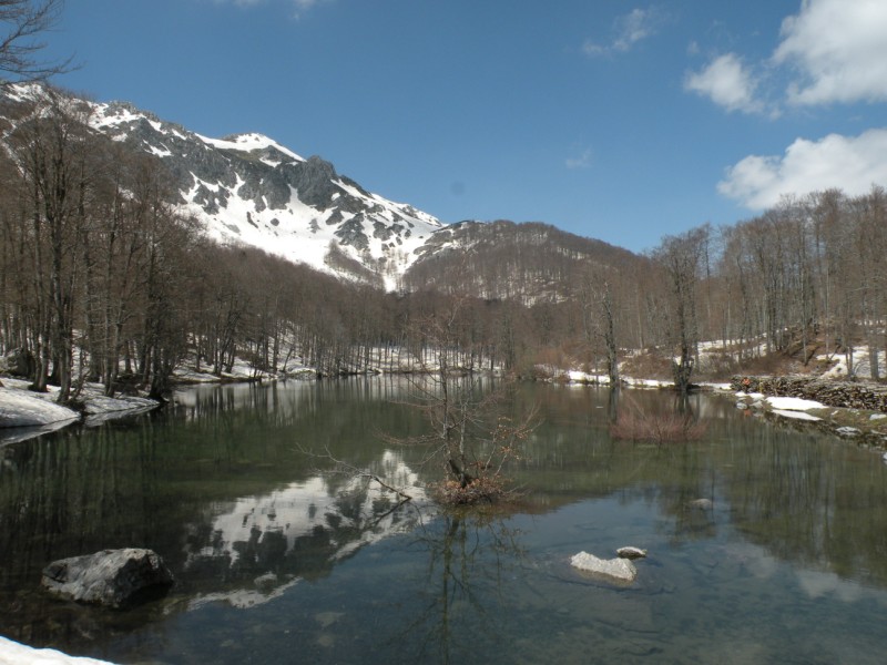 DSCN2903.jpg