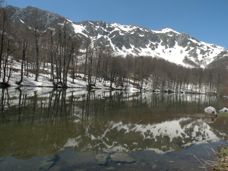 DSCN2895.jpg