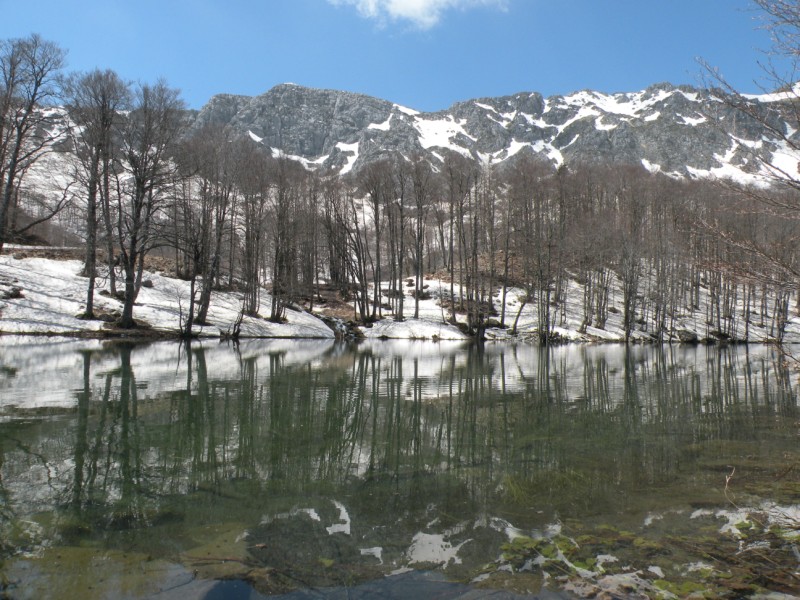 DSCN2891.jpg