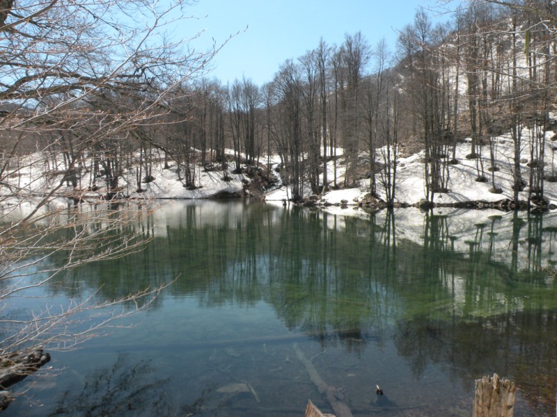 DSCN2877.jpg