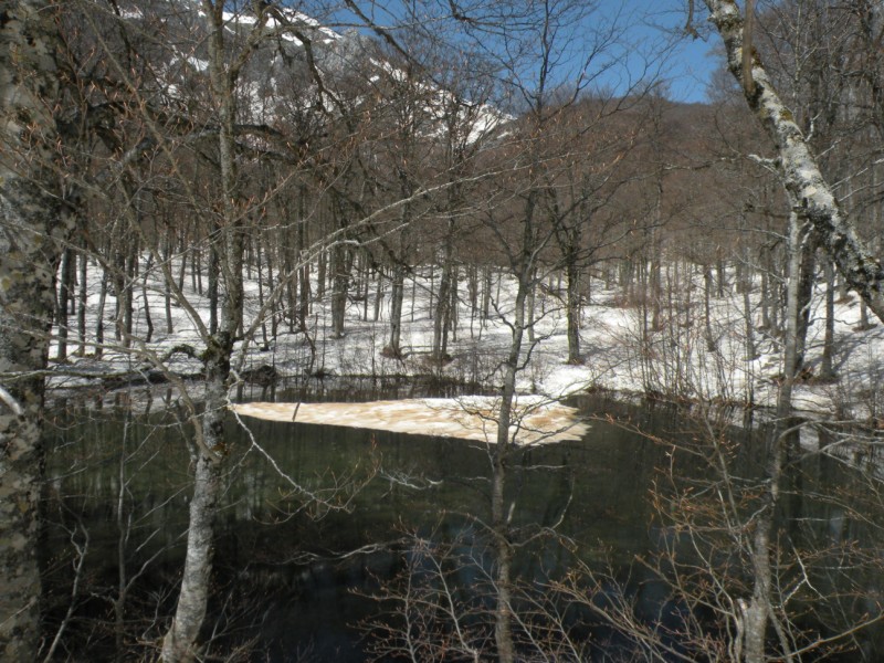 DSCN2873.jpg