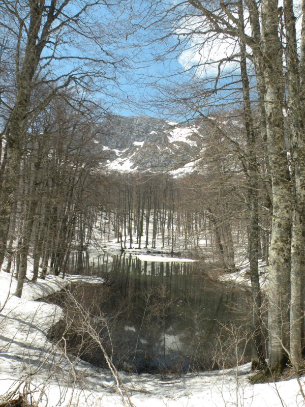DSCN2867.jpg