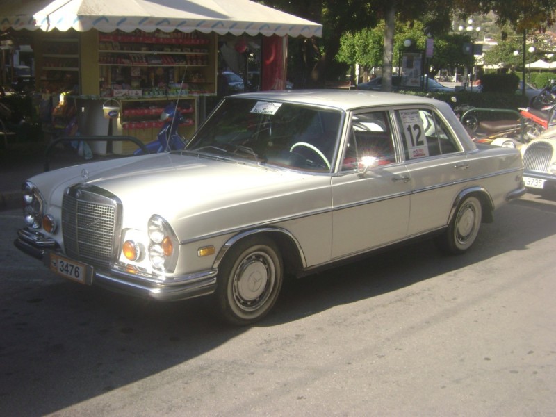 DSC01817.jpg
