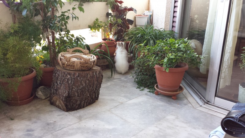 20131023_082100.jpg