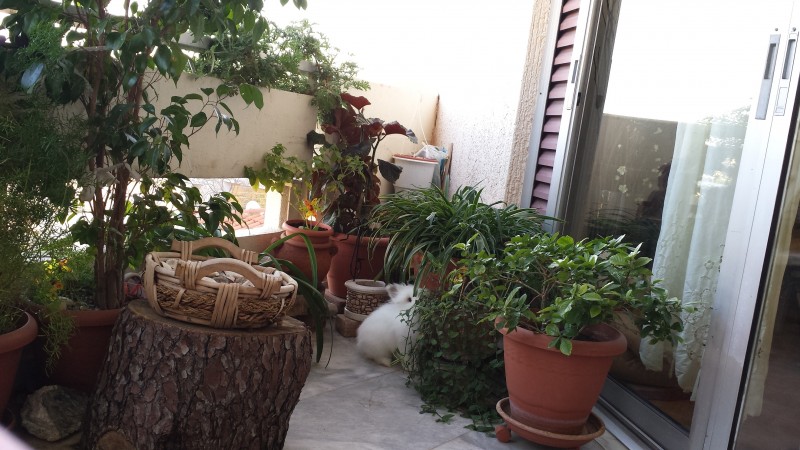 20131023_082218.jpg