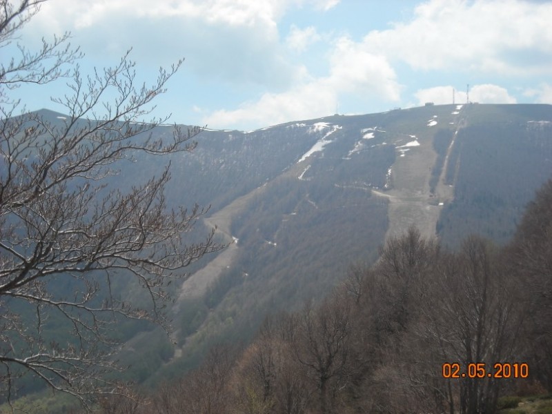 Bermio 104.jpg