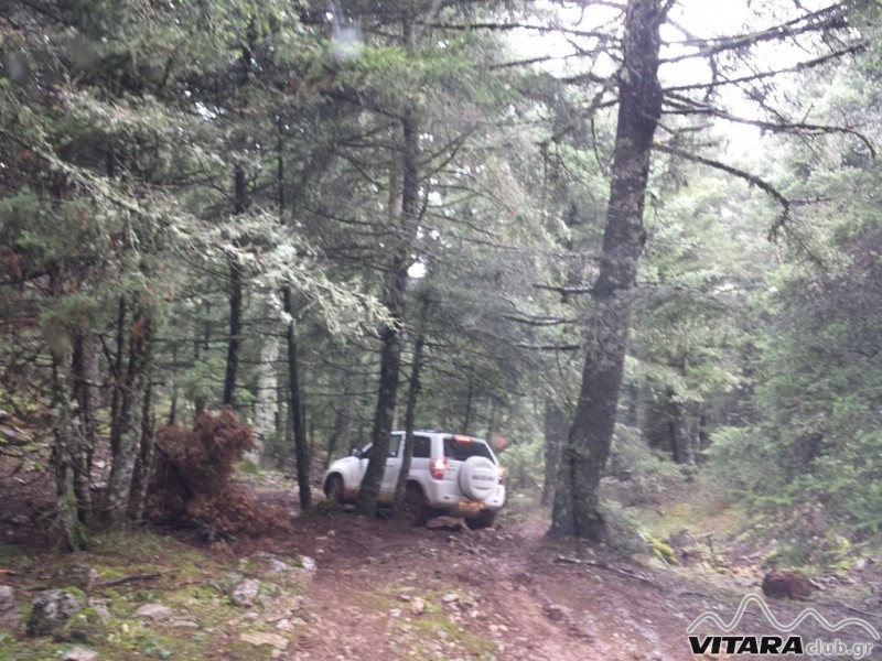 20131116_114439 (Οιτη 16-17.11.13).jpg