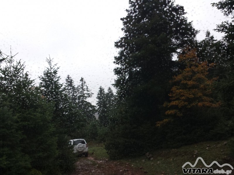 20131116_115144 (Οιτη 16-17.11.13).jpg