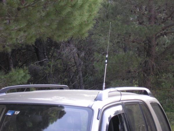 P1010198 (600 x 450).jpg