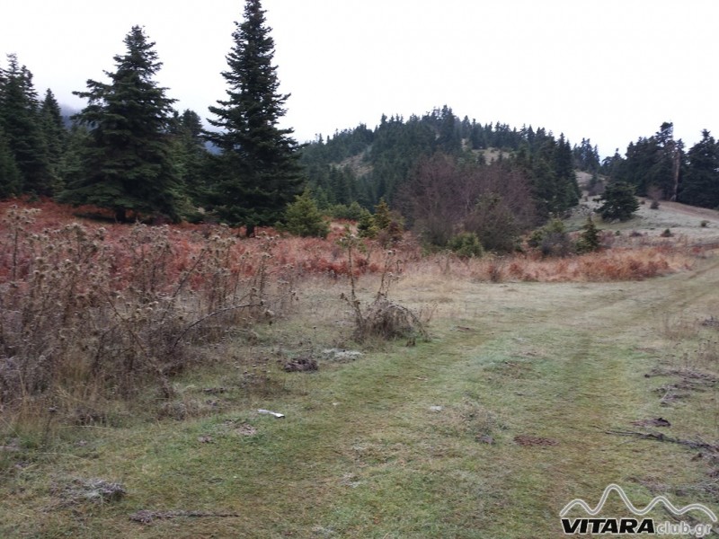 20131117_082638 (Οιτη 16-17.11.13).jpg