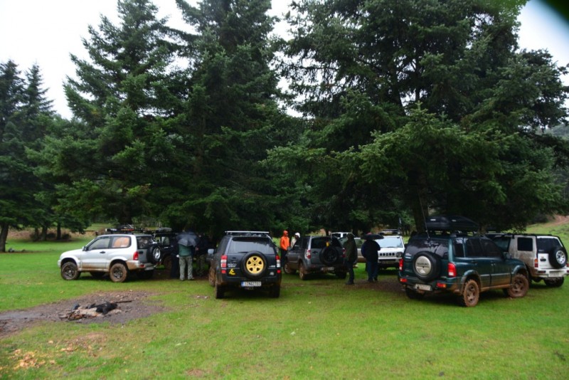 DSC_3766.jpg