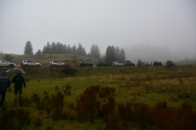 DSC_3830.jpg