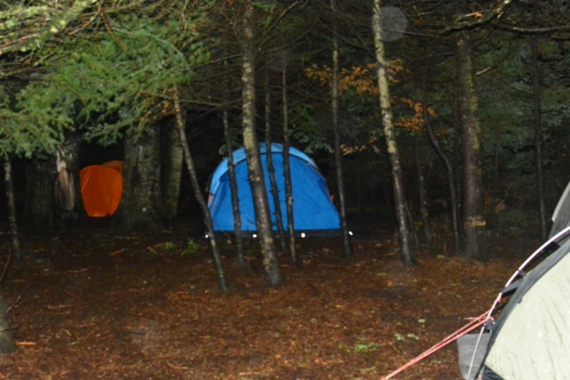 DSC_3883.jpg