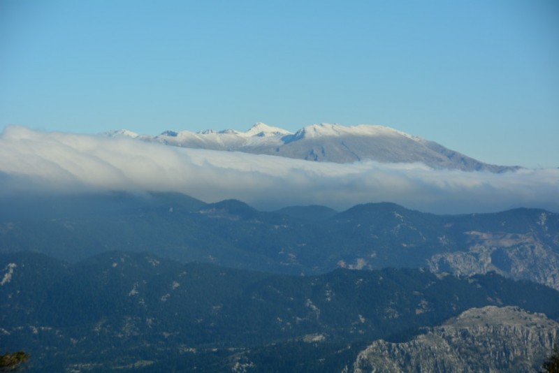 DSC_4066.jpg
