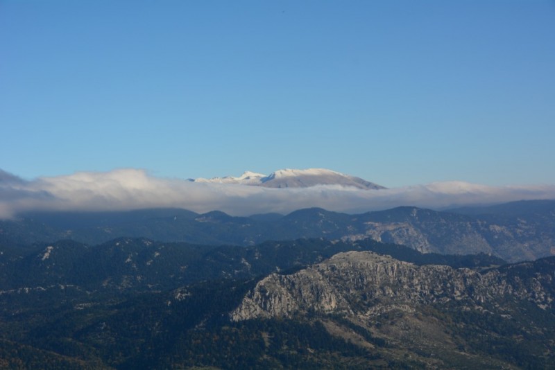 DSC_4068.jpg