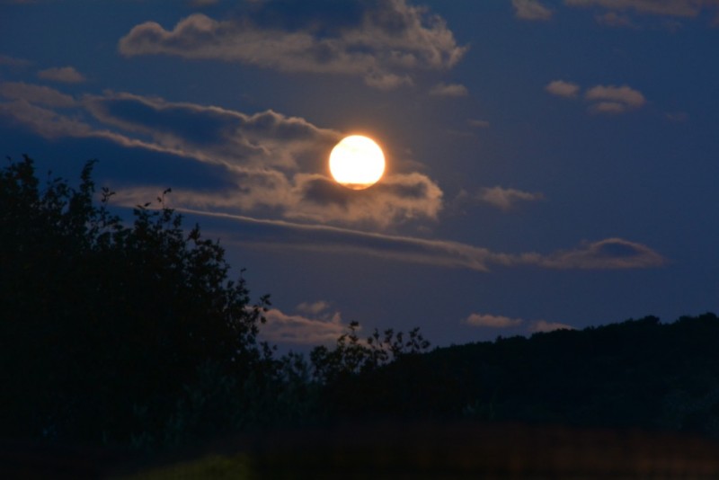 DSC_4080.jpg