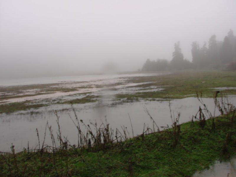 DSC05052.jpg