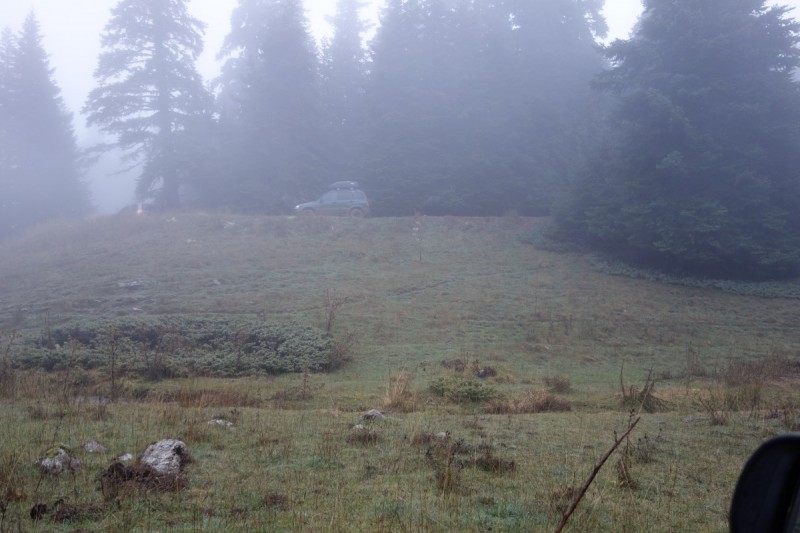 DSC00375.jpg