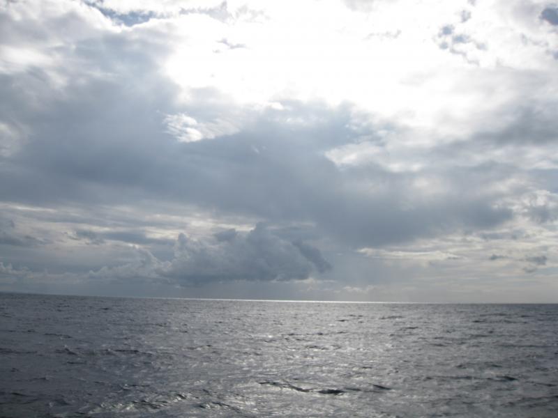IMG_3921_zps3069735a.jpg