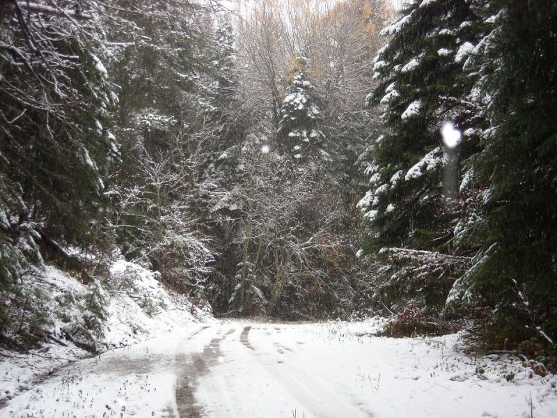 DSCN4685.JPG