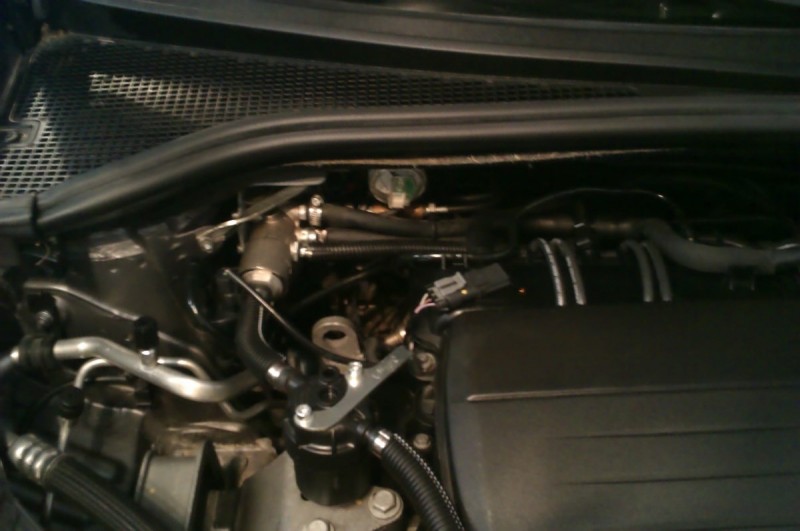 IMAG0101.jpg