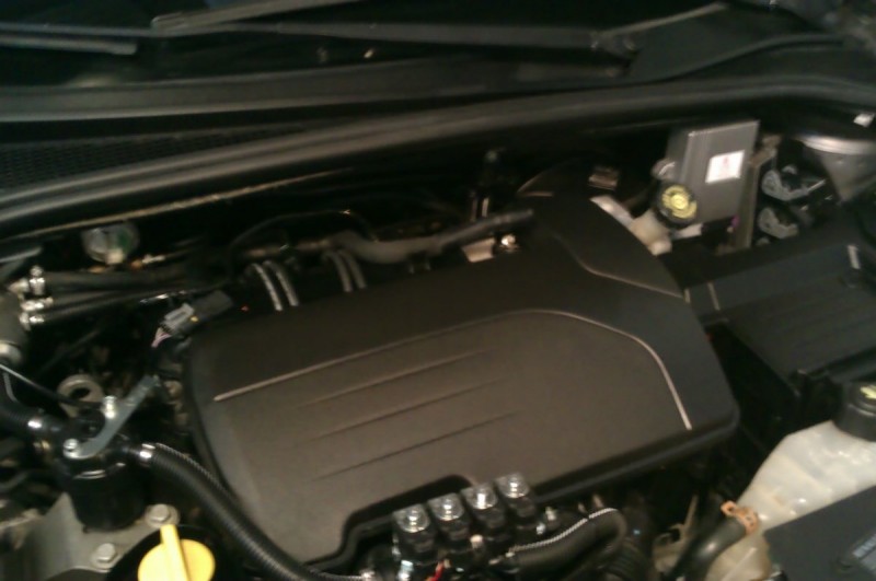 IMAG0102.jpg