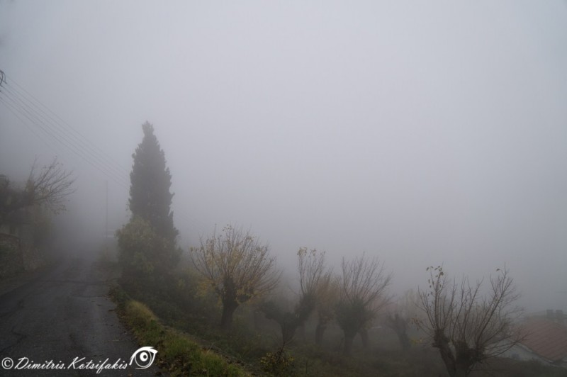 DSC01604.jpg