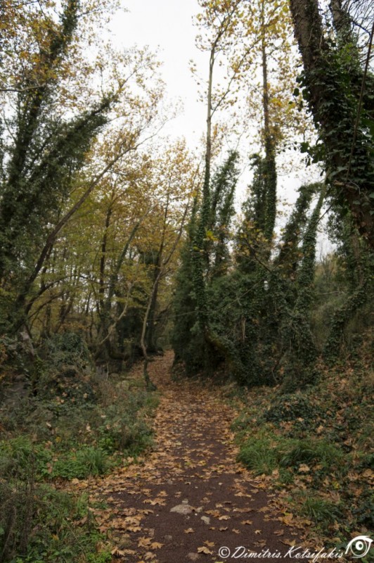 DSC01639.jpg