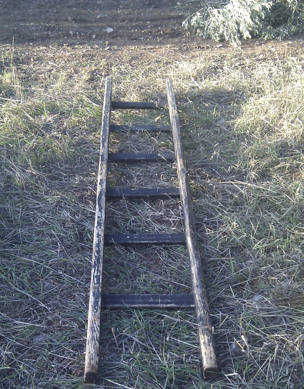 IMAG2646.jpg