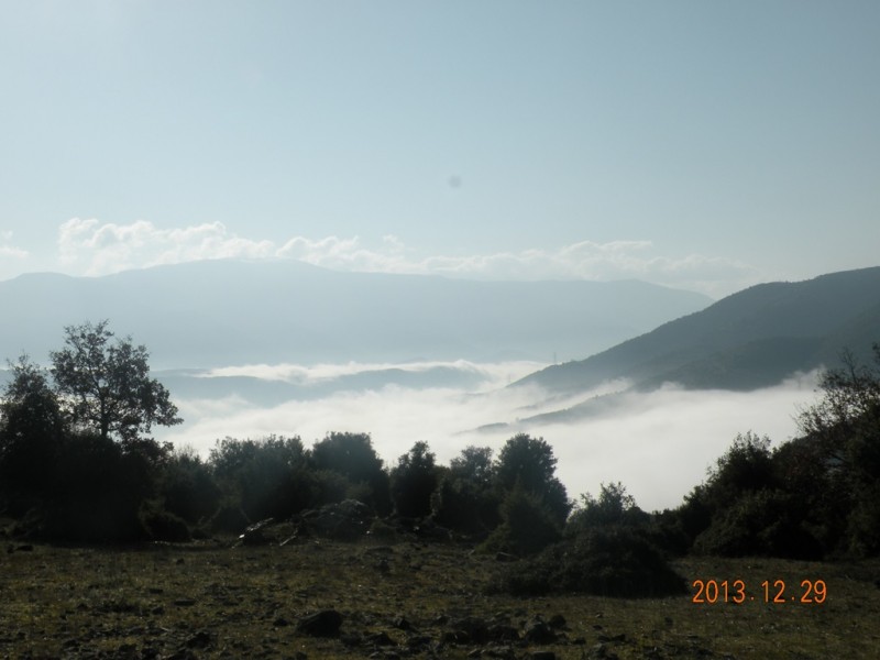 DSCN8919v.jpg