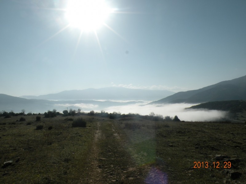 DSCN8921v.jpg