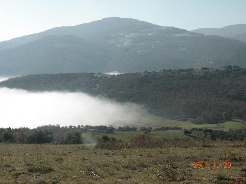 DSCN8924v.jpg